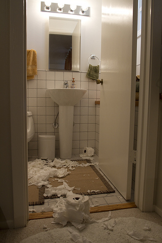 toilet paper storage