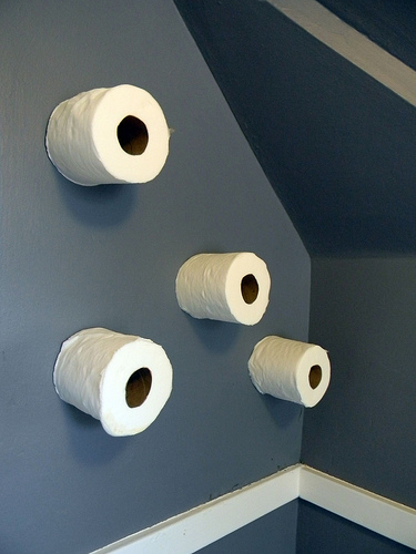 toilet paper storage