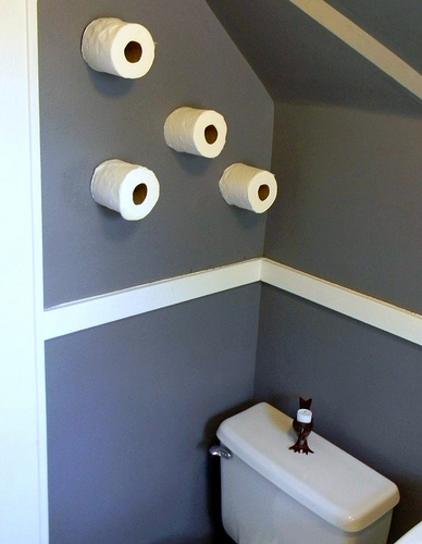 toilet paper storage
