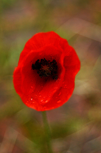 shaving mirrors with lights