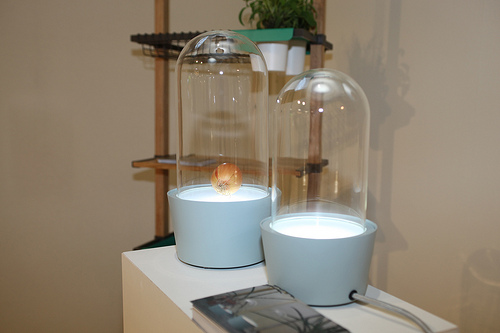 designer bathroom accessories