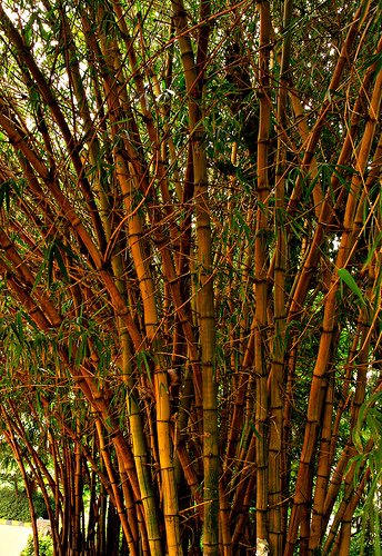 beauty products from china