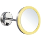 Battery Powered LED Cosmetic Mirror